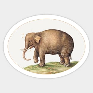 Elephant with Insects (1575–1580) Sticker